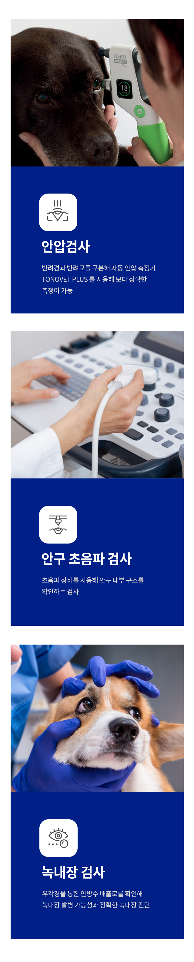 안과